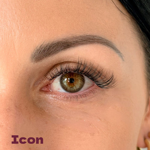 Close-up of ICON natural-style pre-glued lashes by Whip Lashes