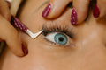 Whip Lash Tweezers | Precision Grip - Zero Stick